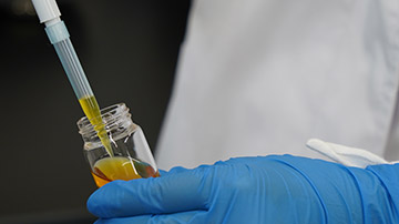 Investigation Report