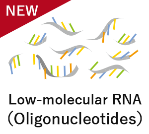 Low-molecular RNA（Oligonucleotides）