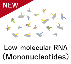 Low-molecular RNA（Mononucleotides）