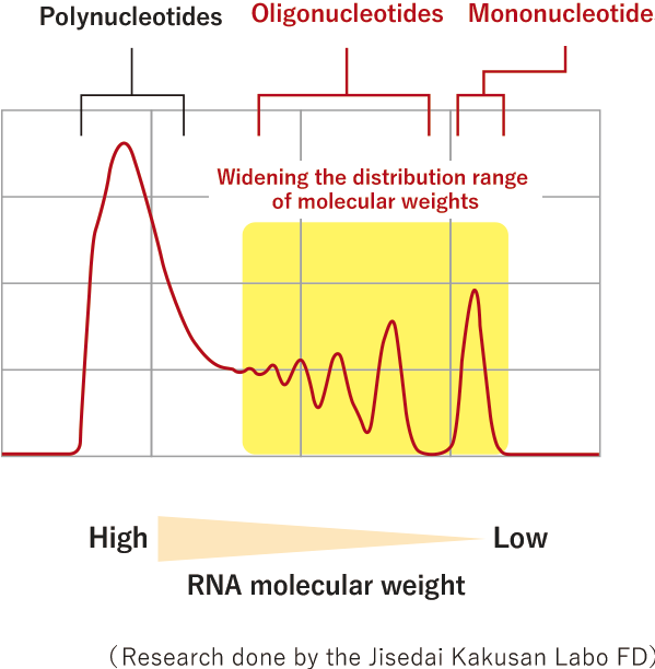 New RNA Material FCore-R2023（Distribution of RNA molecular weight）